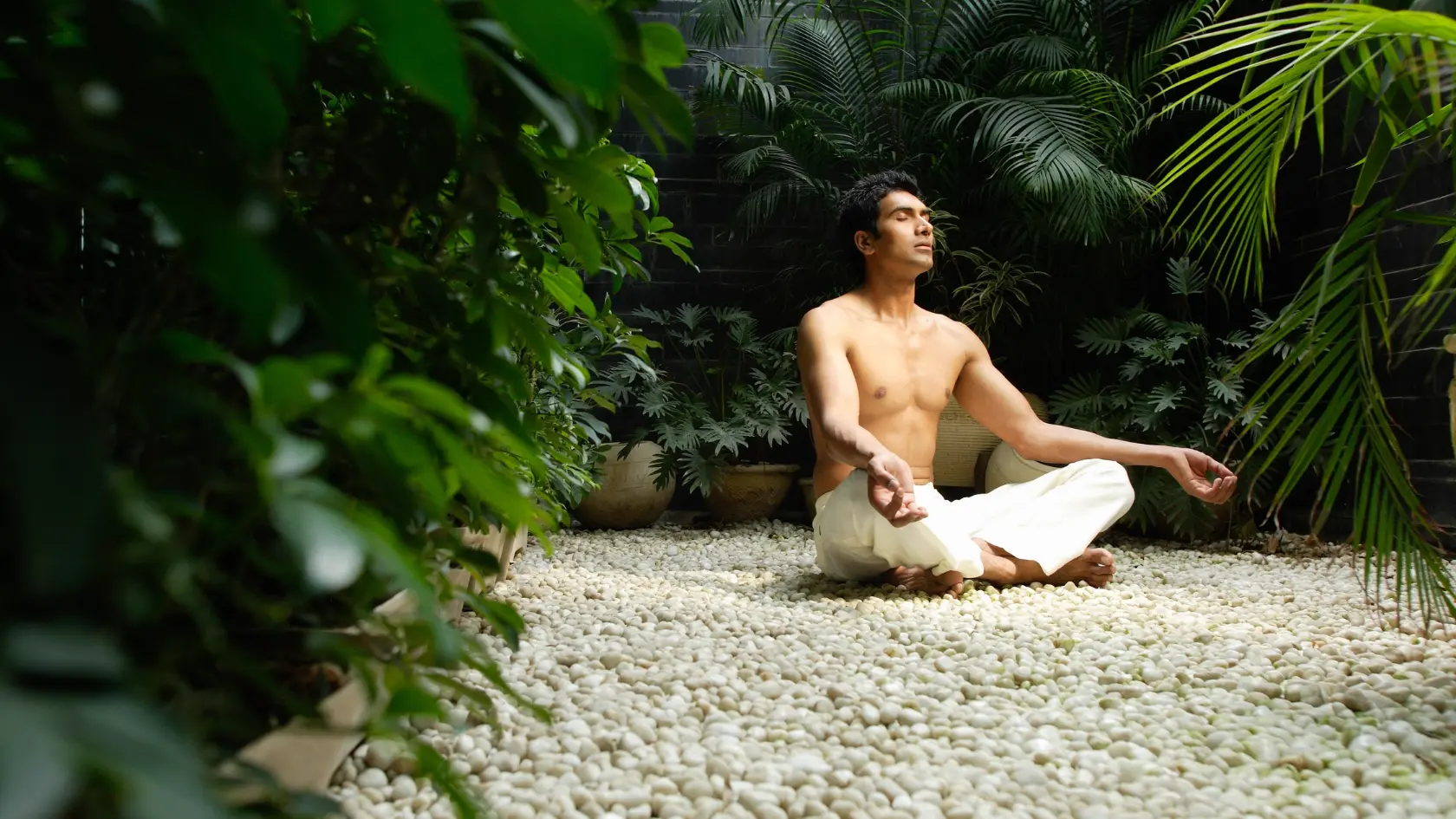 Yoga: A Holistic Approach to Hair Health and Hormonal Balance