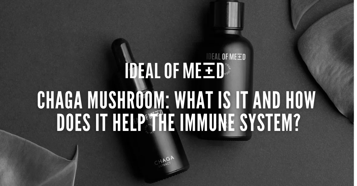 Chaga Mushroom: What Is It and How Does It Help the Immune System?