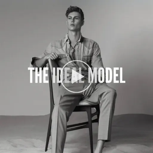 the Ideal model