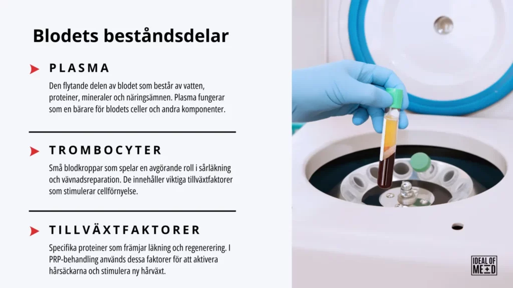 Blodets beståndsdelar