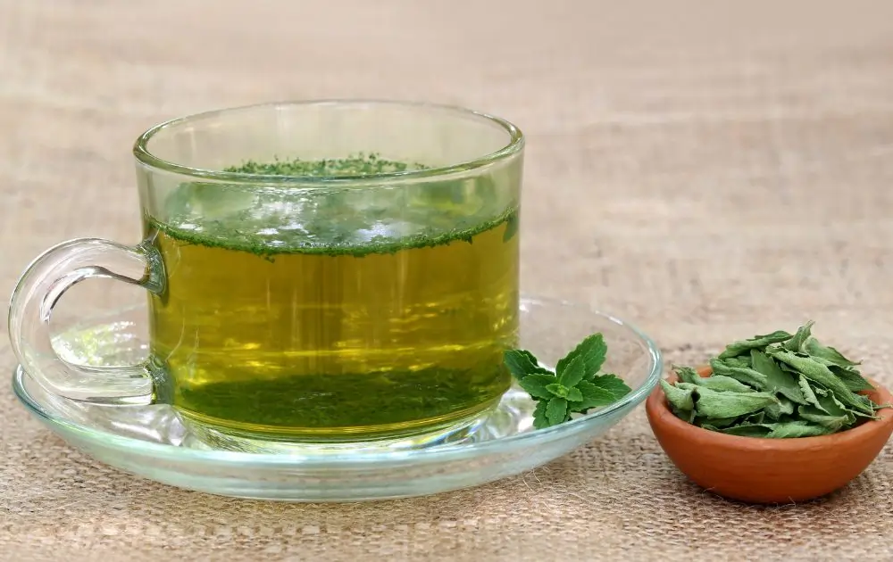 Green tea for hair
