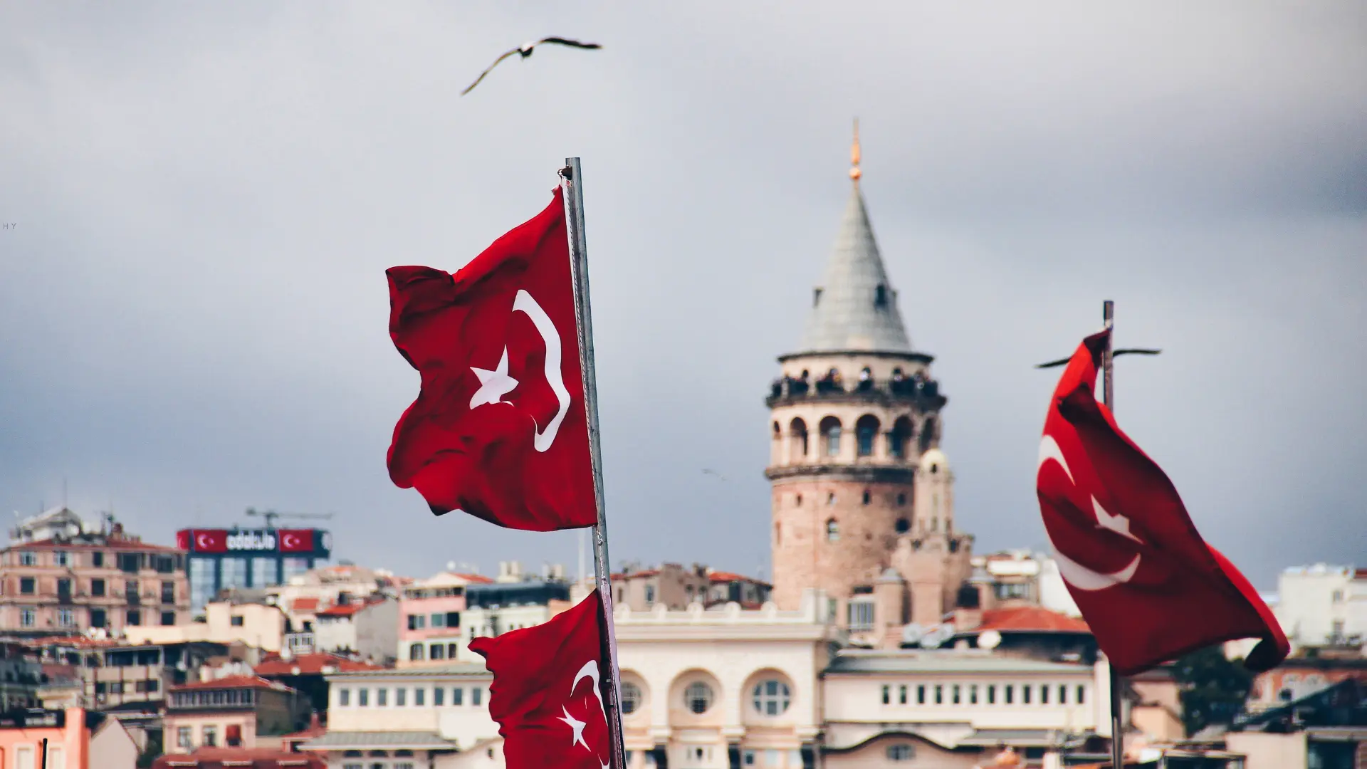 Turkey leader hair transplant