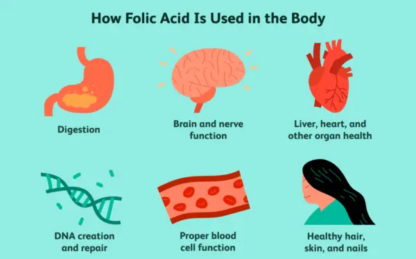 folic acid for hair health