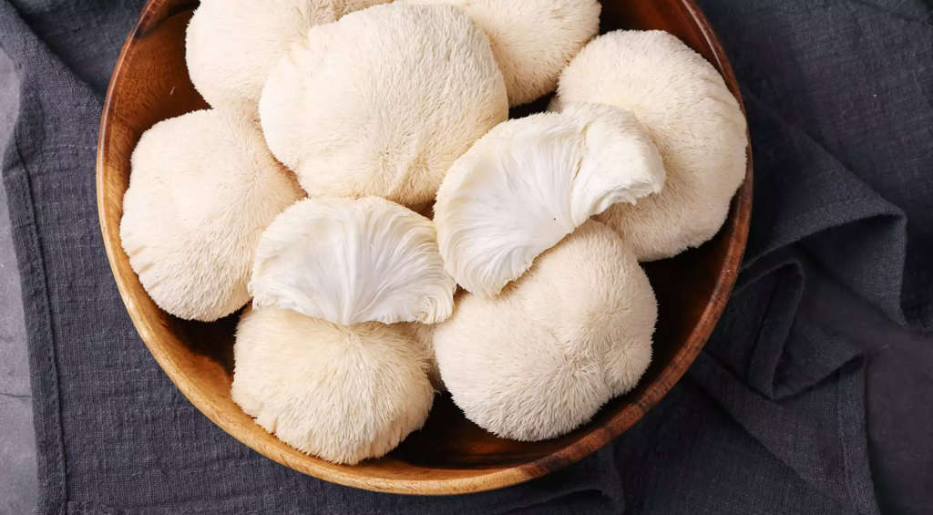 Lion's Mane Mushroom