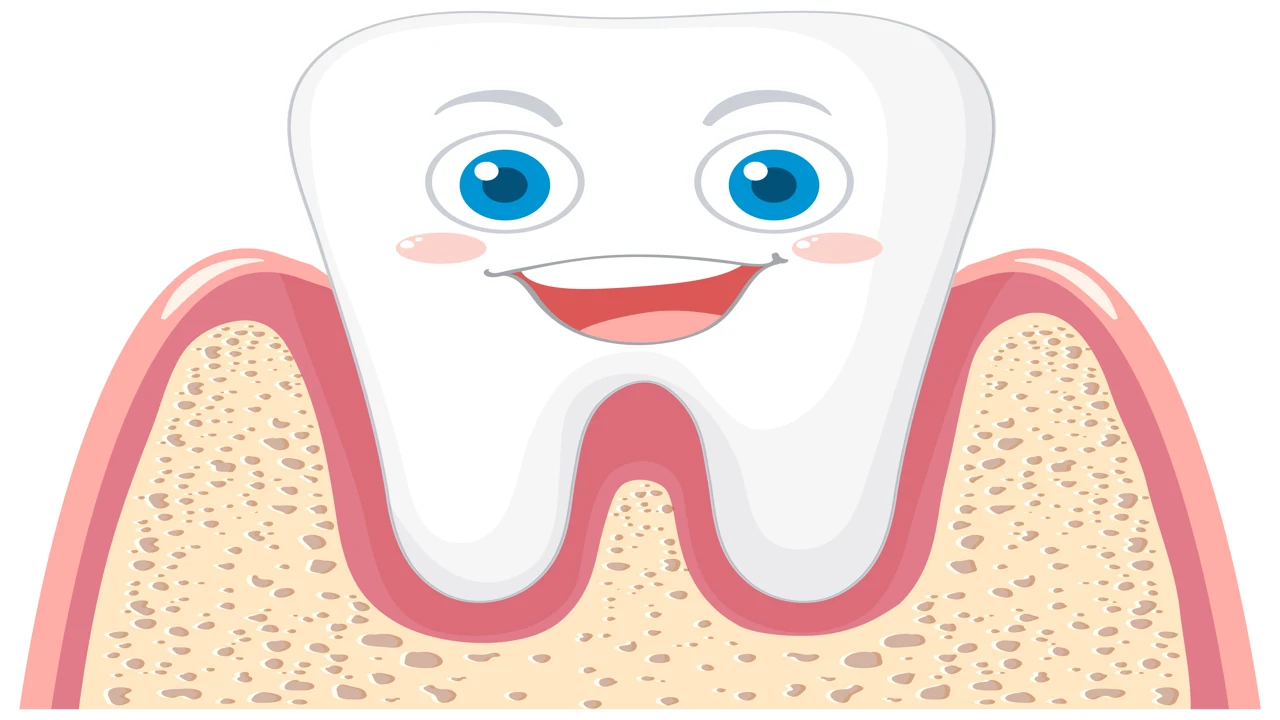 Deciduous teeth complete guide for parents and oral health