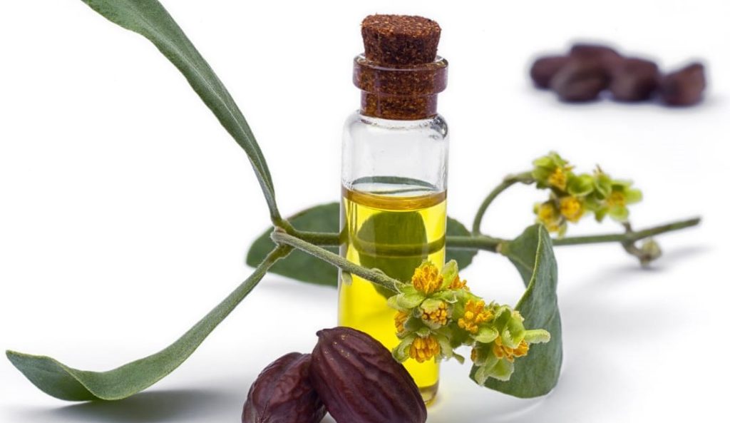 jojoba oil for hair