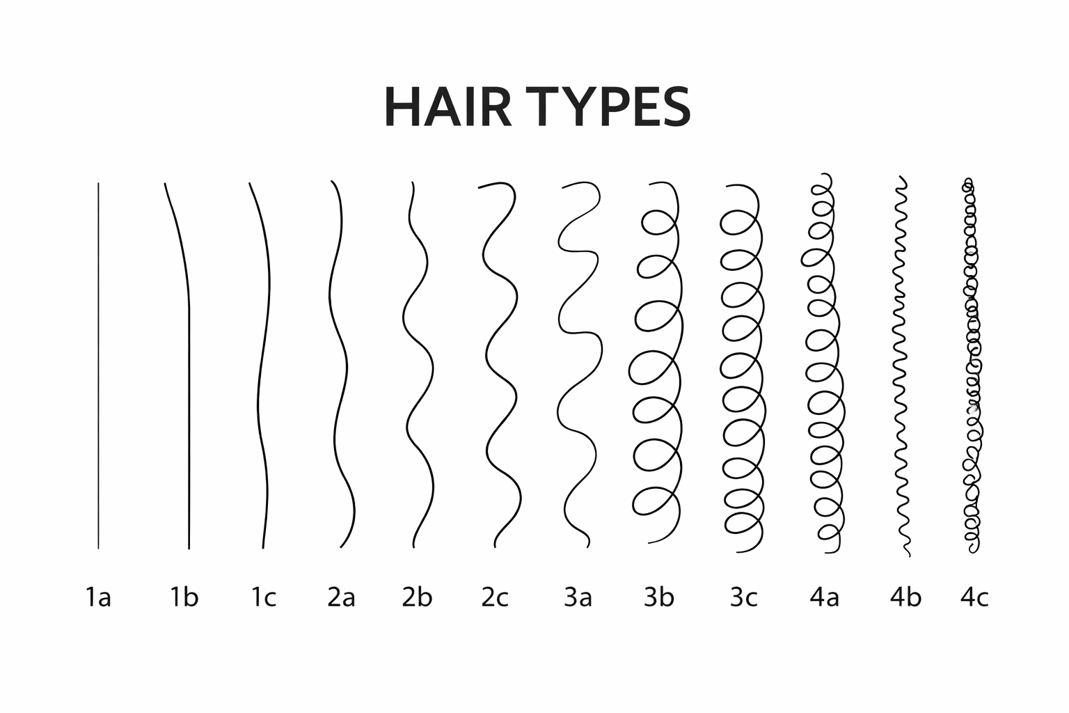A Complete Guide to Types of Hair Texture Color Style and Condition